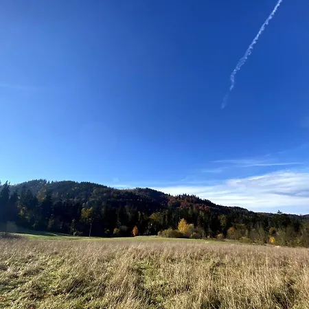 Dom Spokojnej Mlodosci Apartment *