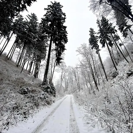 Apartment Dom Spokojnej Mlodosci