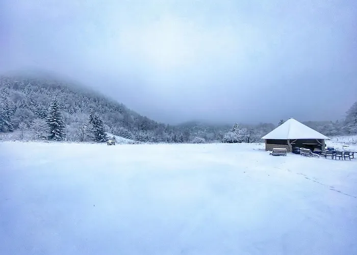 Apartman Dom Spokojnej Mlodosci Sokołowsko