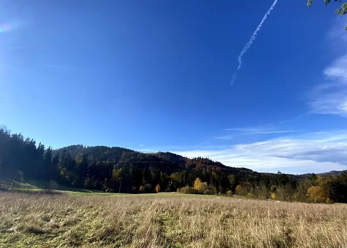 Dom Spokojnej Mlodosci Apartman *