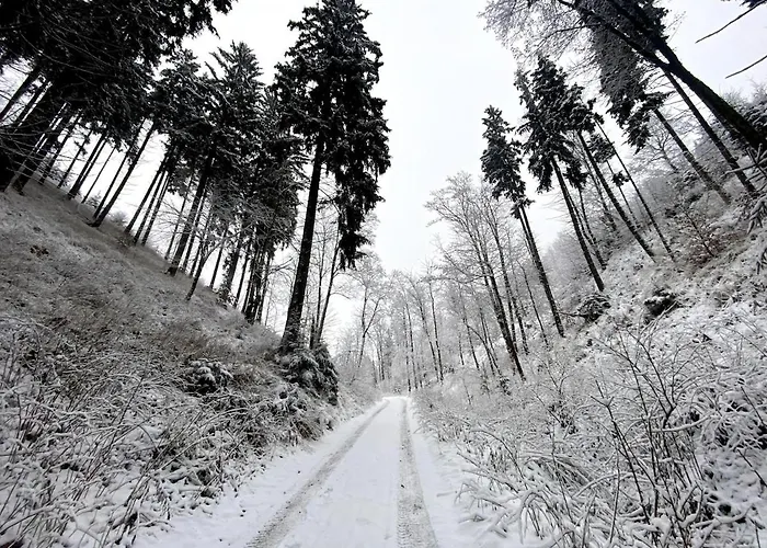 Apartman Dom Spokojnej Mlodosci